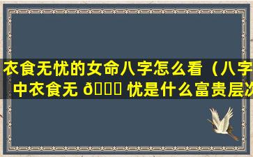 衣食无忧的女命八字怎么看（八字中衣食无 💐 忧是什么富贵层次）